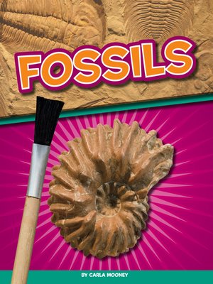 cover image of Fossils